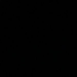 Meet your Posher, Demarcus